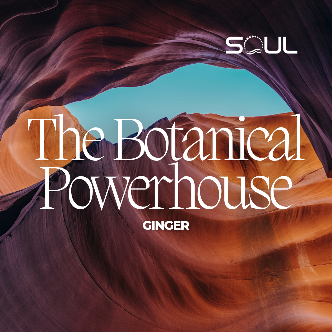 Unlocking the Secrets of Ginger: The Root of Well-Being