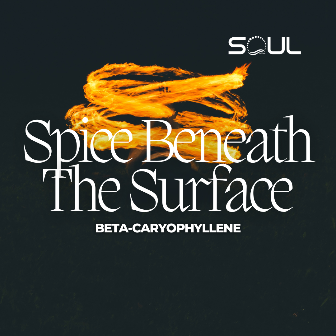 The Silent Hero: Beta-Caryophyllene – The Unsung Champion of Your Well-Being