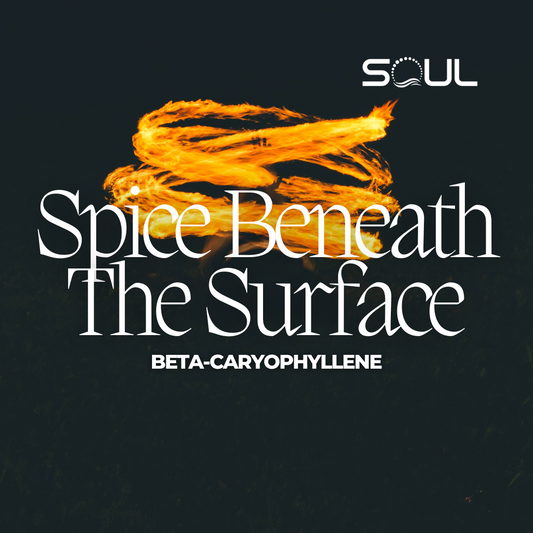 The Silent Hero: Beta-Caryophyllene – The Unsung Champion of Your Well-Being
