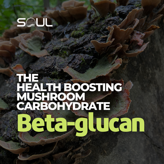 Beta-Glucans: The Immune-Boosting, Cholesterol-Lowering, Antioxidant-Rich Compounds in Your Next Meal