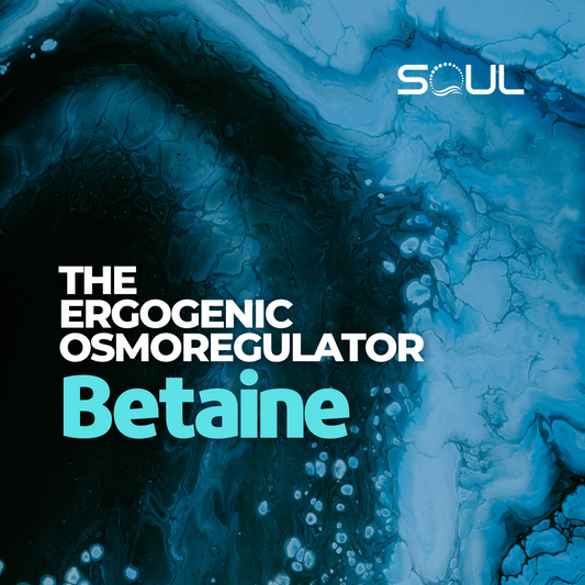 The Underrated Powerhouse: Betaine and Its Role in Health and Performance