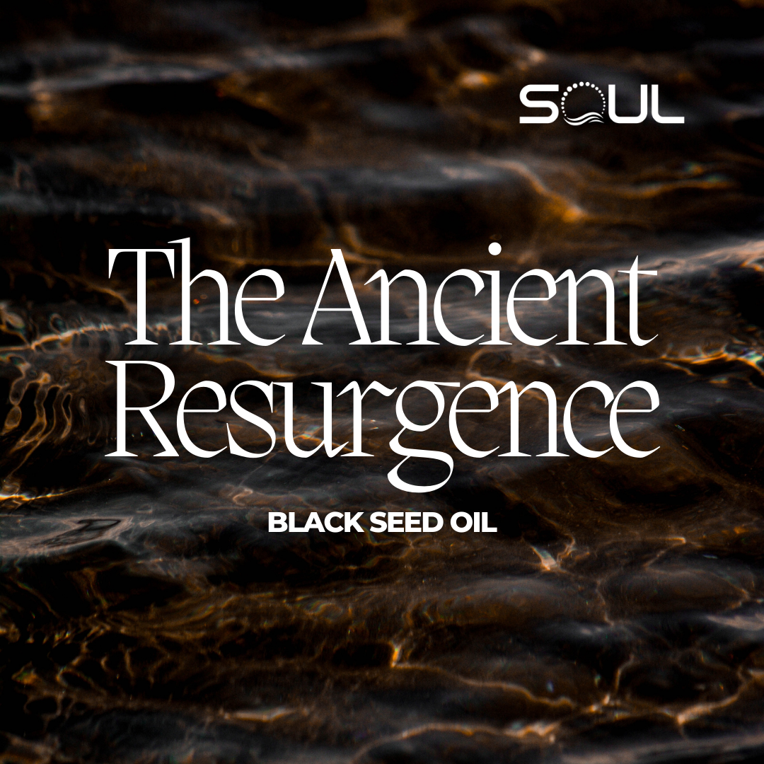 Black Seed Oil: The Ancient Elixir Making Waves in Modern Wellness