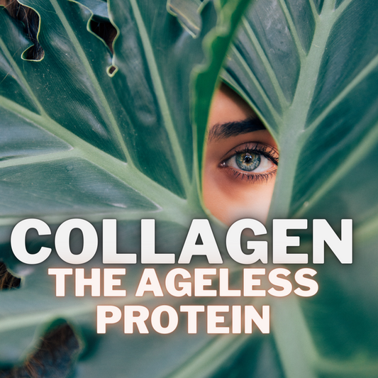 The Collagen Connection: Reinforcing the Body's Structure and Resilience