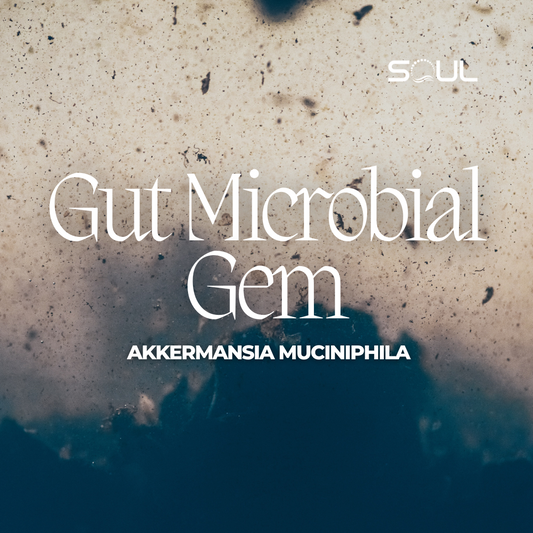 Akkermansia muciniphila: The Tiny Guardian Revolutionizing Gut Health