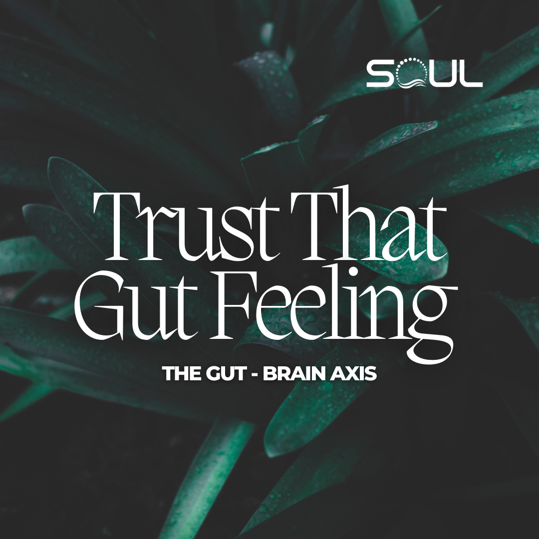 The Gut-Brain Symphony: Unraveling the Intricate Connection Between Your Gut and Mind