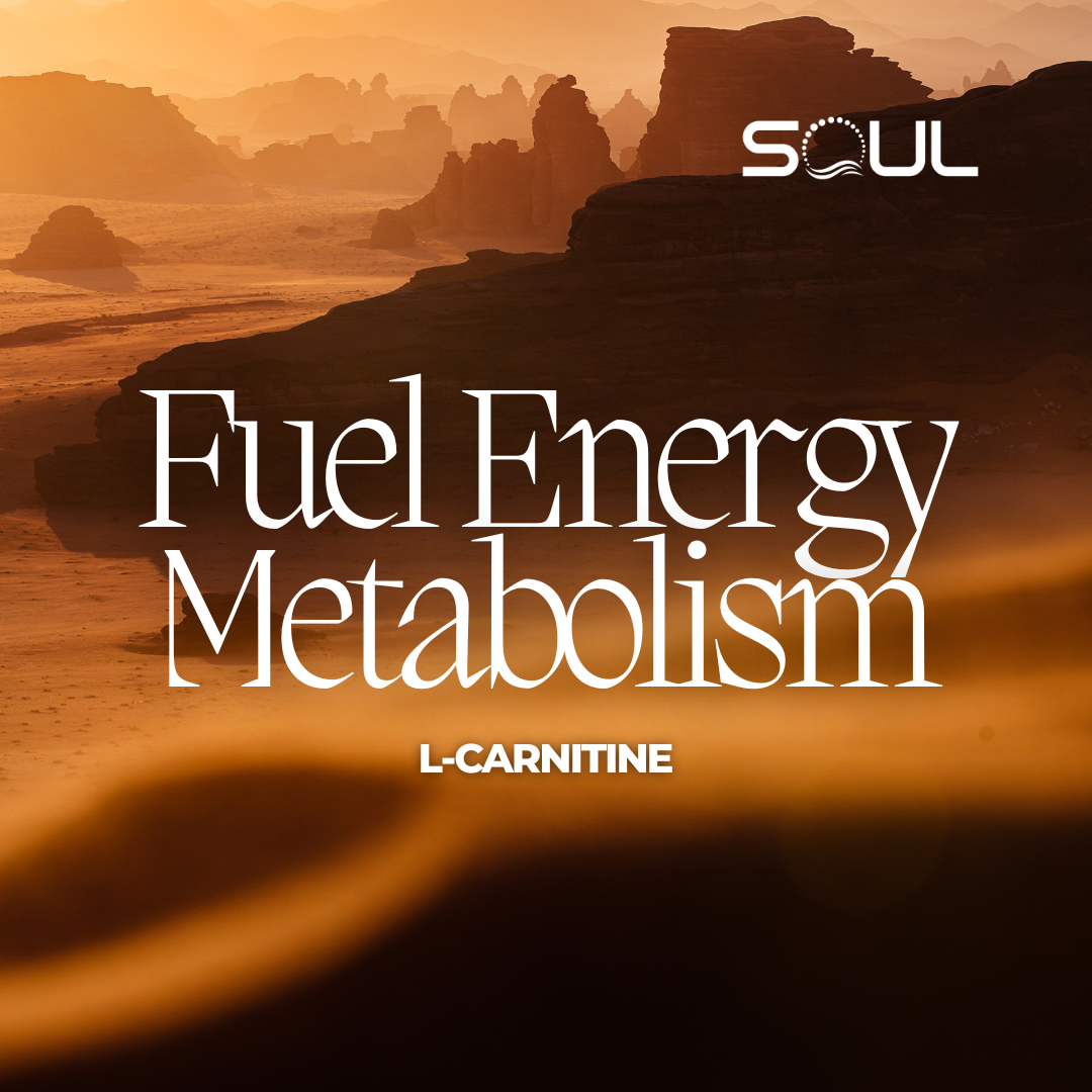 Unlocking the Full Spectrum of Health Benefits: The Power of L-Carnitine Explained