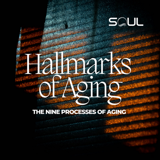 Unveiling the Secrets of Aging: A Journey Through the Nine Hallmarks
