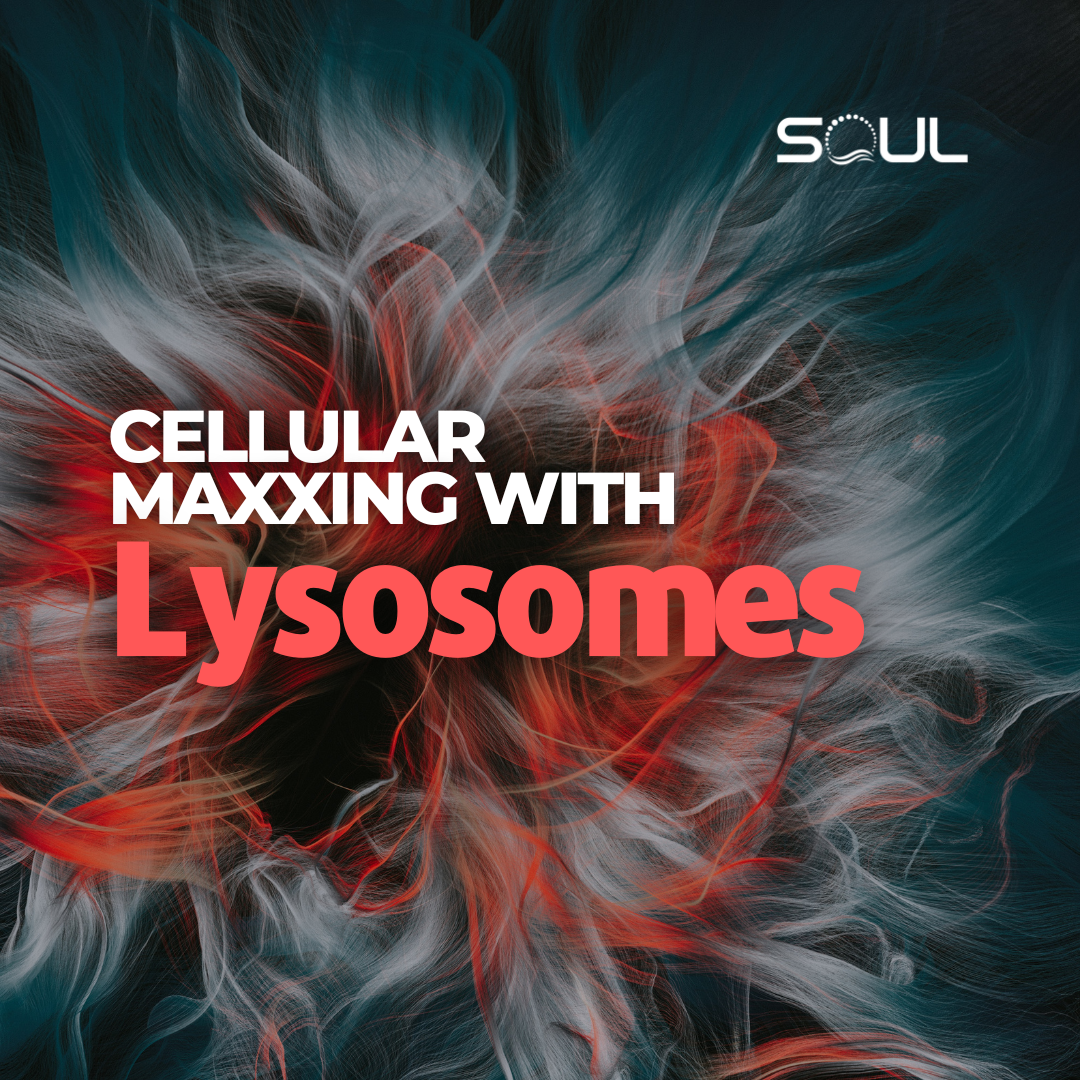 Heroes of Your Cells: The Lysosomes’ Secret Workhorse Magic