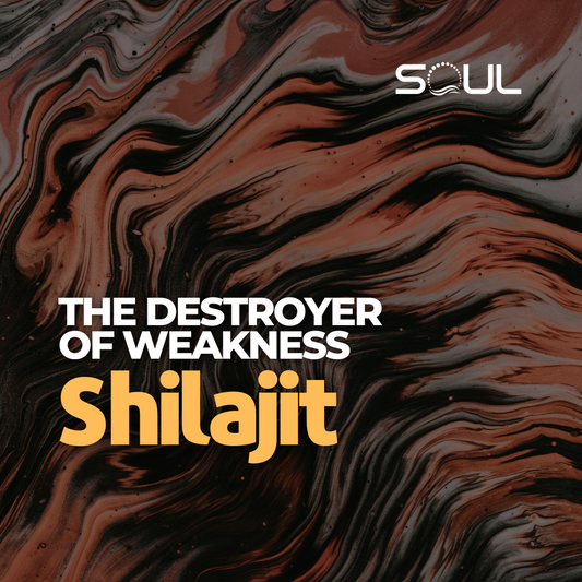 The Secrets of Shilajit: Ancient Energy from the Himalayas