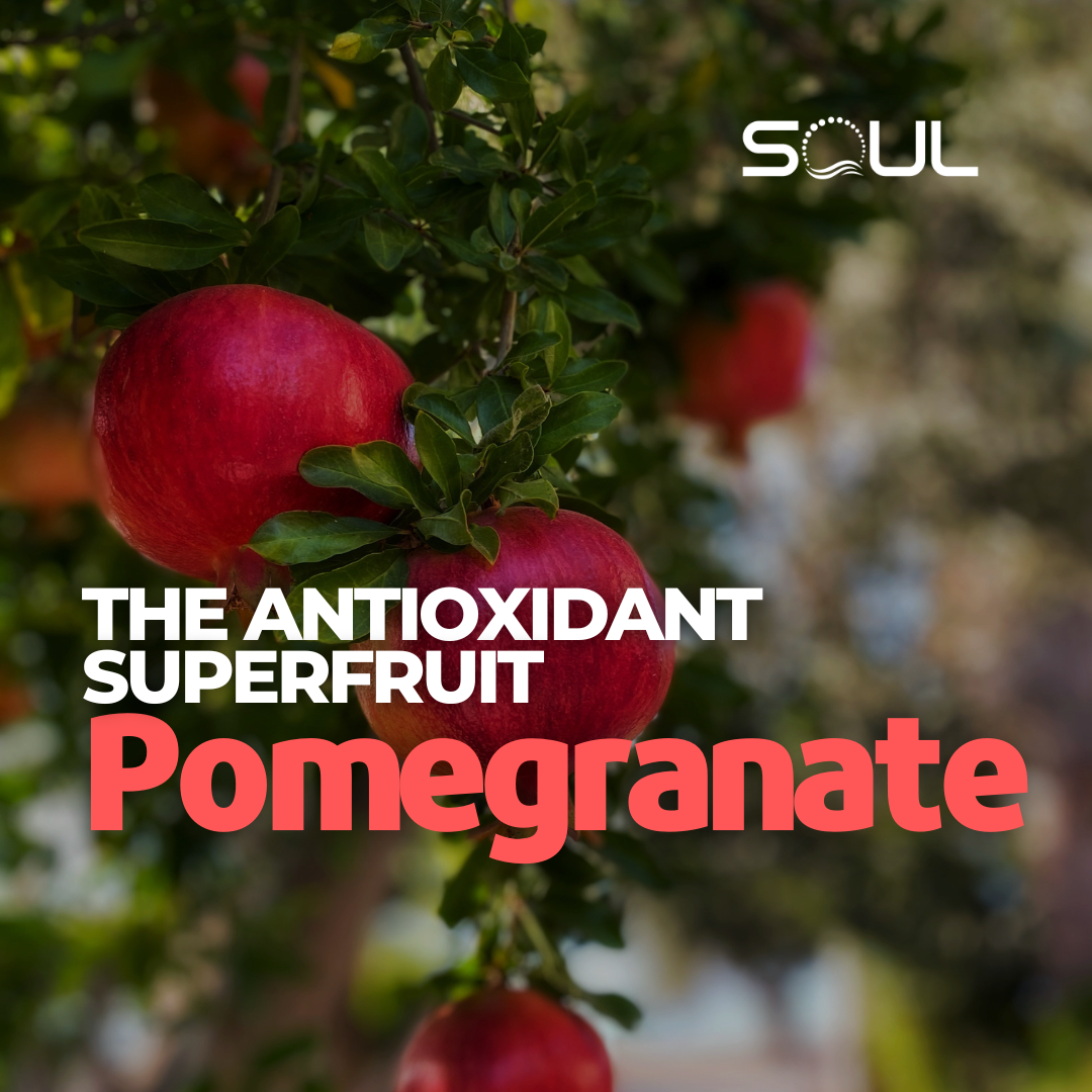 Pomegranates: A Powerhouse of Flavor and Potential Health Benefits