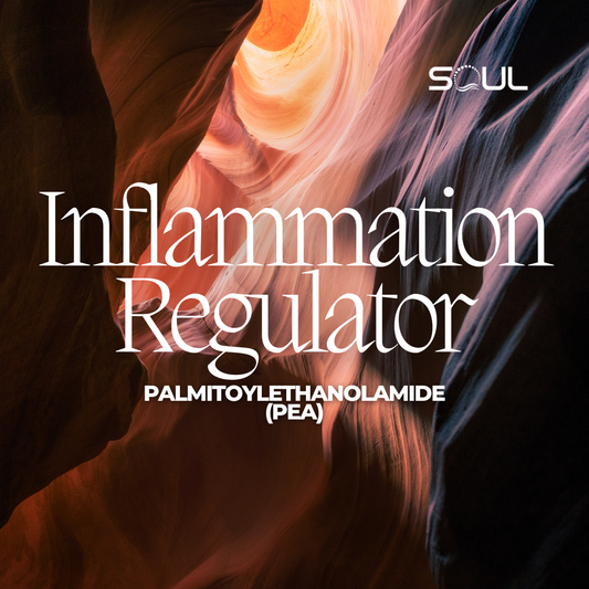 Palmitoylethanolamide: Nature's Best-Kept Secret Against Inflammation