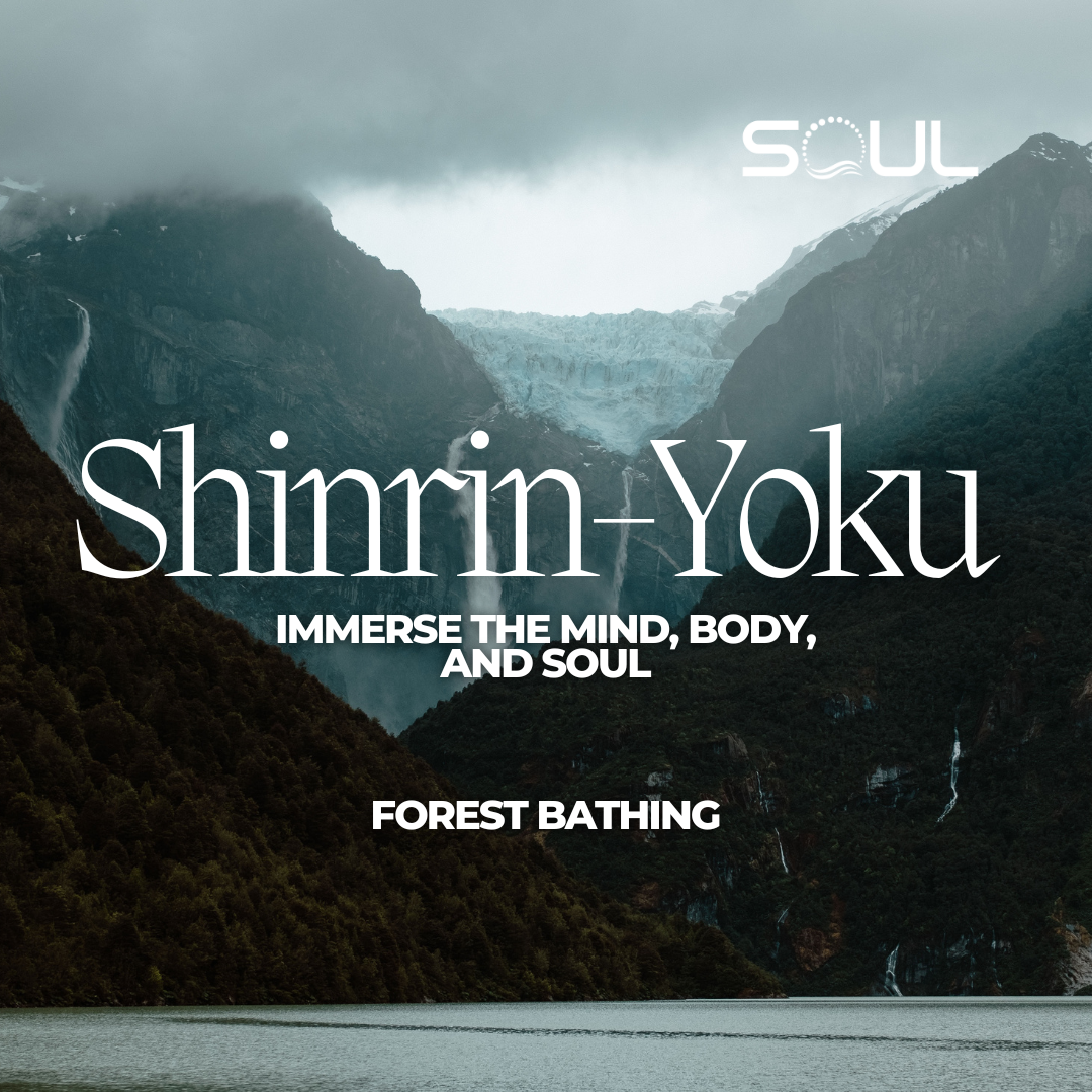 Forest Bathing: Nature’s Tranquil Antidote for Modern Chaos