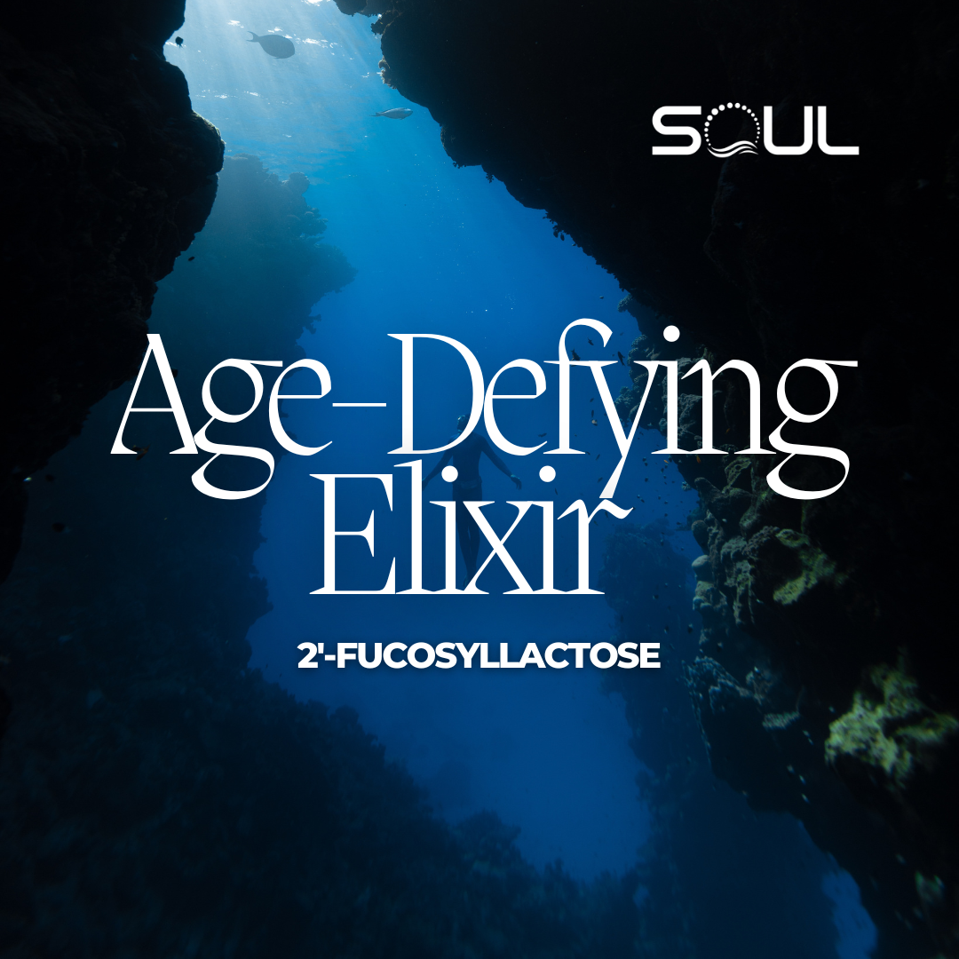 Exploring the Potential Health Benefits of 2'-Fucosyllactose