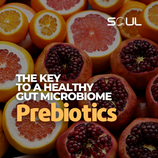 Power of Prebiotics: A Gut-Driven Journey to Well-being