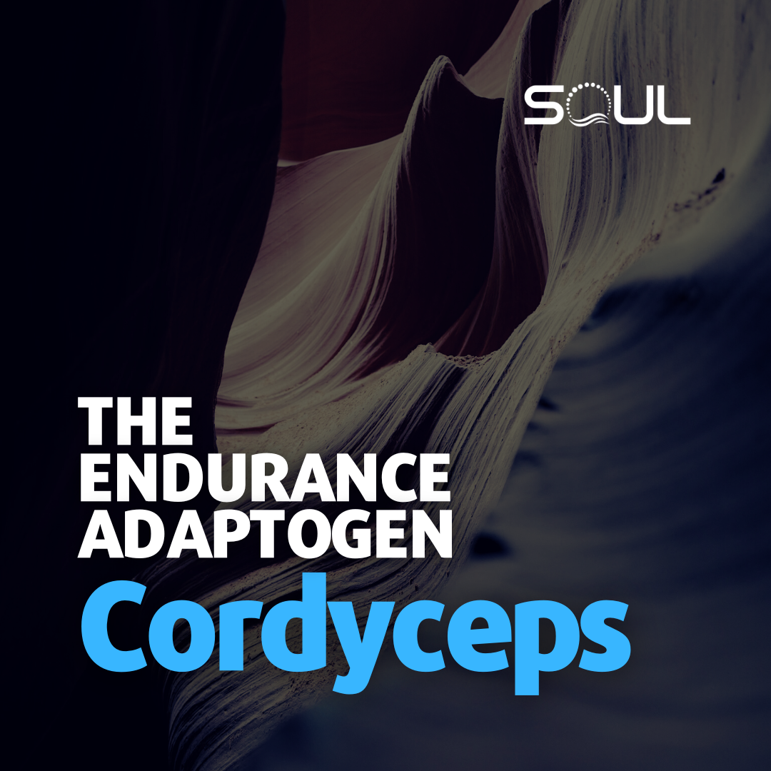 Cordyceps: The "Zombie Mushroom" That Might Just Change Your Health