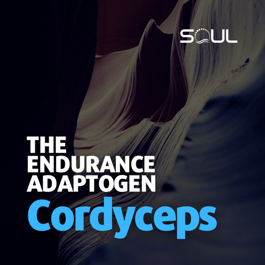 Cordyceps: The "Zombie Mushroom" That Might Just Change Your Health