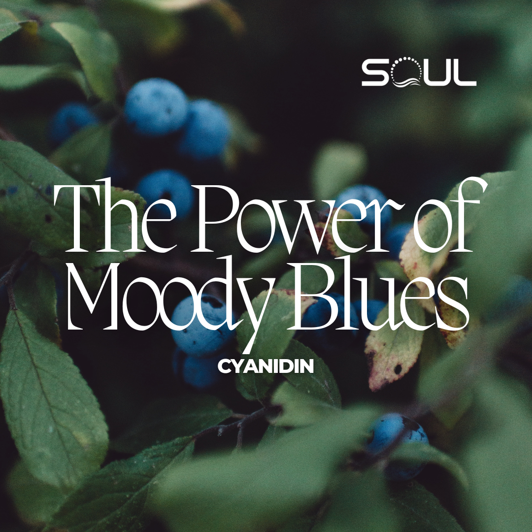 Cyanidin: Nature's Secret to Better Health