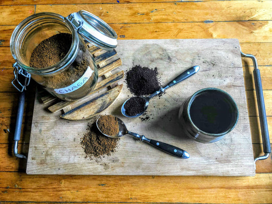 The King of Mushrooms: Why Chaga is Nature’s Secret Weapon for Your Health