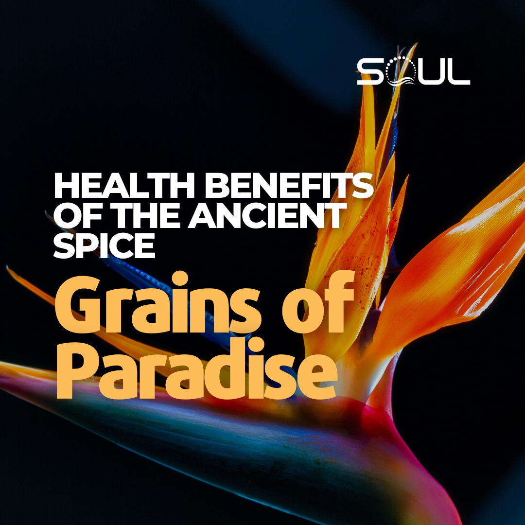 Grains of Paradise: A Hidden Gem of the Spice World