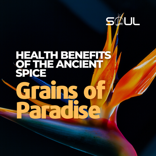 Grains of Paradise: A Hidden Gem of the Spice World