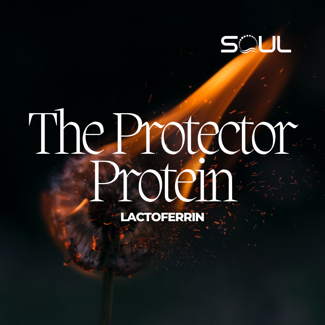 The Remarkable Health Benefits of Lactoferrin: Nature's Secret Weapon