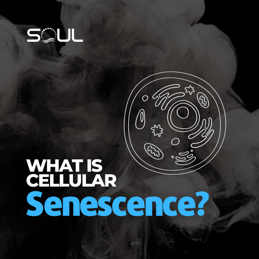 The Cellular Brakes on Aging: The Science of Senescence and Its Impact on Aging