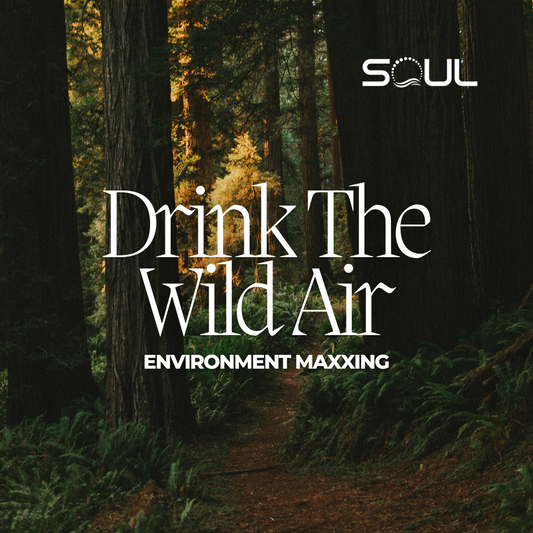 The Healing Power of Phytoncides: Drink Nature's Wild Air