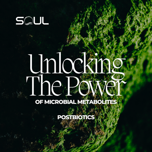 Unlocking the Power of Postbiotics: Exploring the Benefits and Potential of Microbial Metabolites