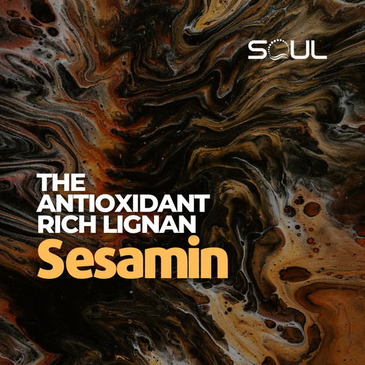 Sesamin: The Undercover Powerhouse in Your Wellness Arsenal