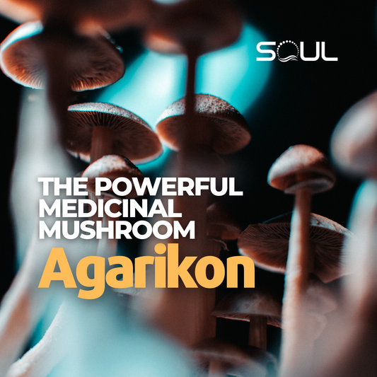 The Power of Agarikon: Understanding the Health Benefits of Fomitopsis Officinalis