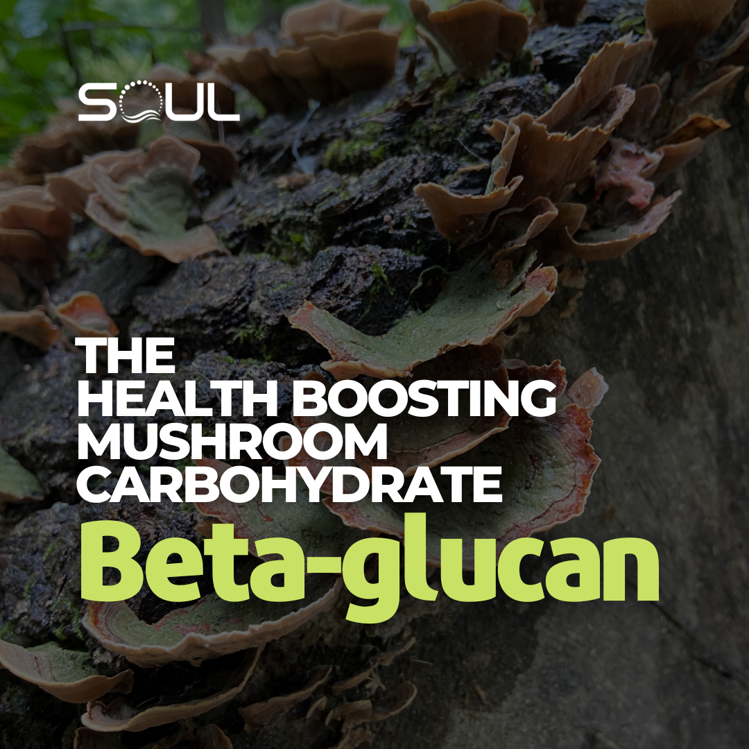 Mushroom Beta-glucans
