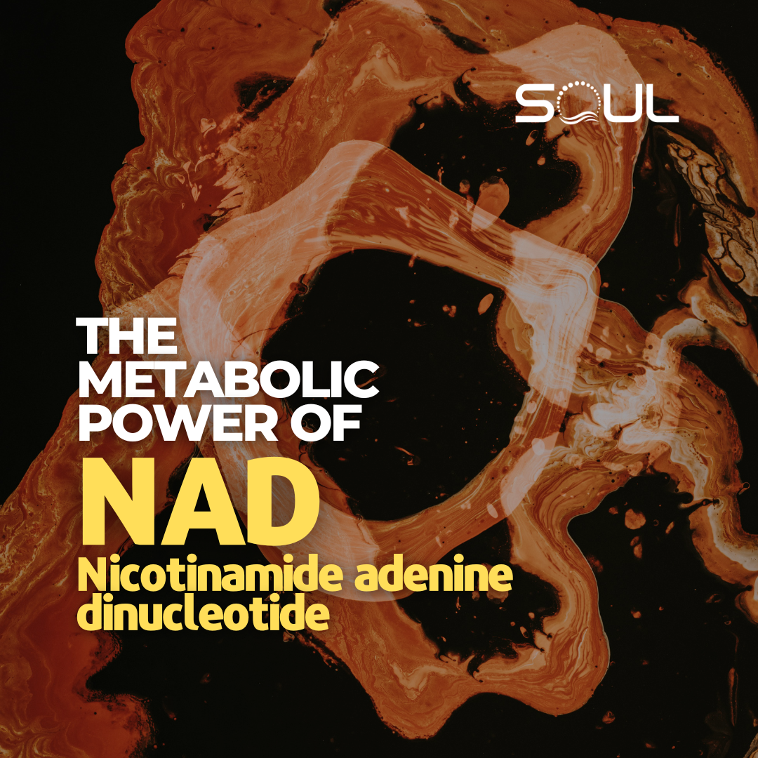 Exploring the Metabolic Power of NAD: From Energy Production to DNA Repair
