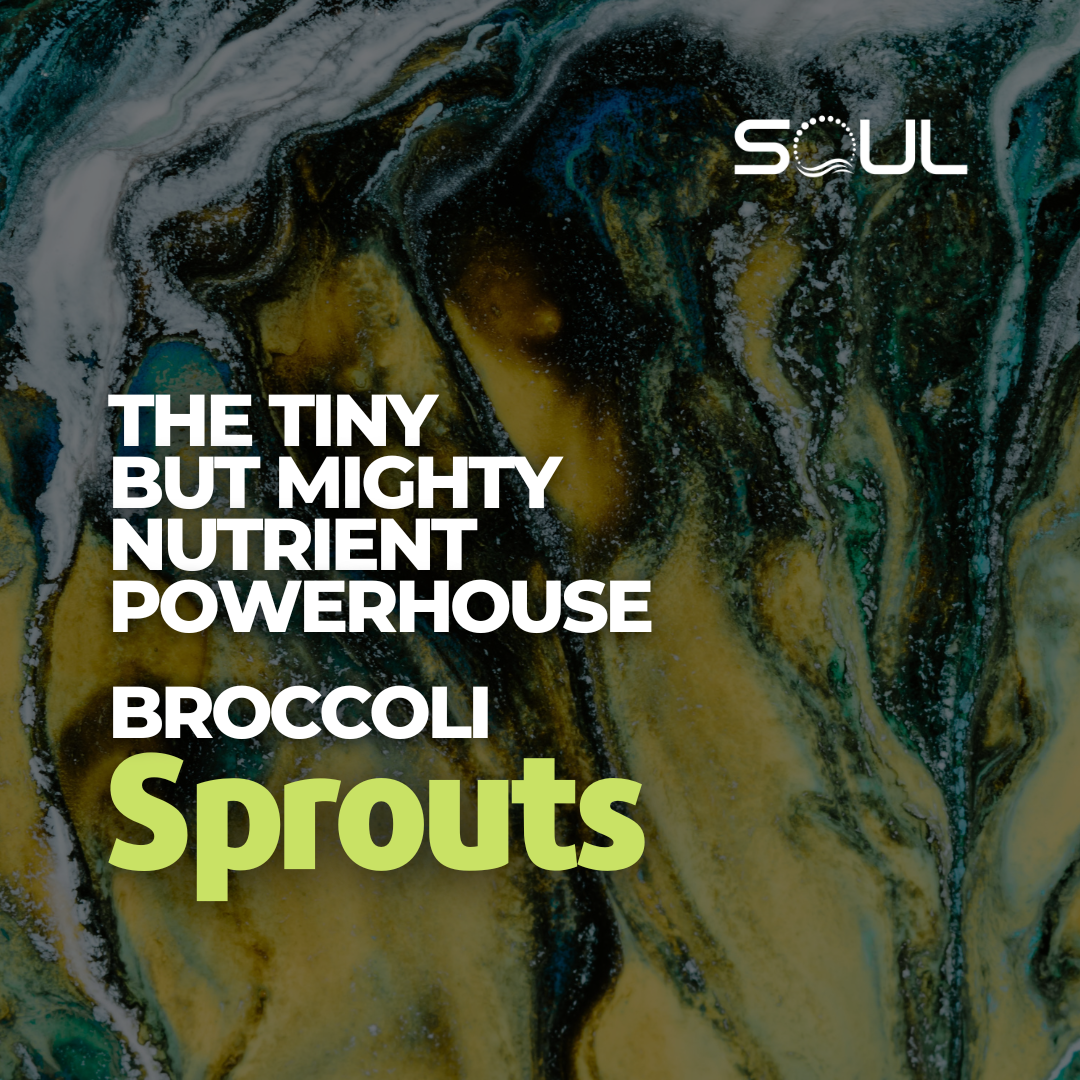 The Tiny But Mighty Nutrient Powerhouse: Broccoli Sprouts