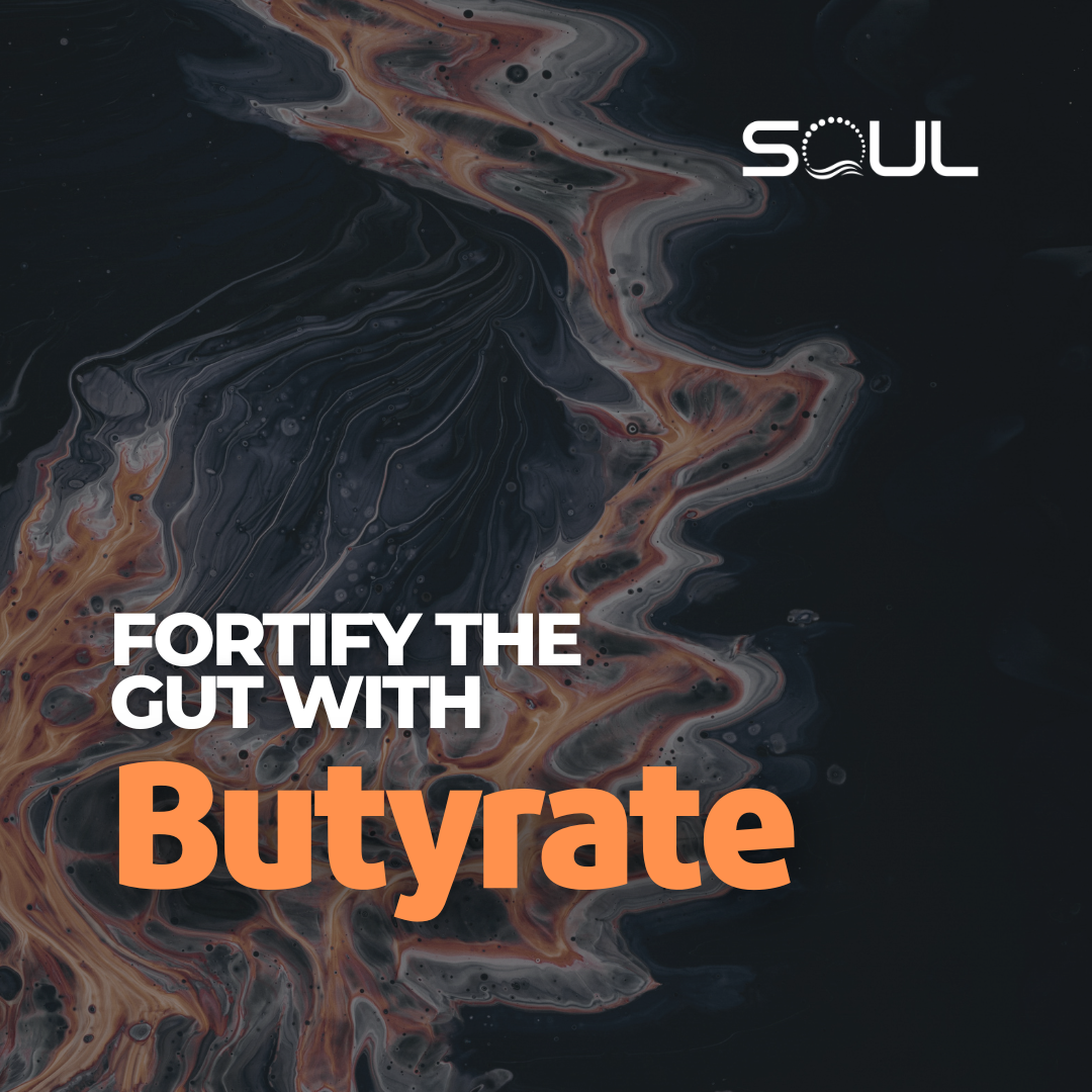 Fortify The Gut With Butyrate