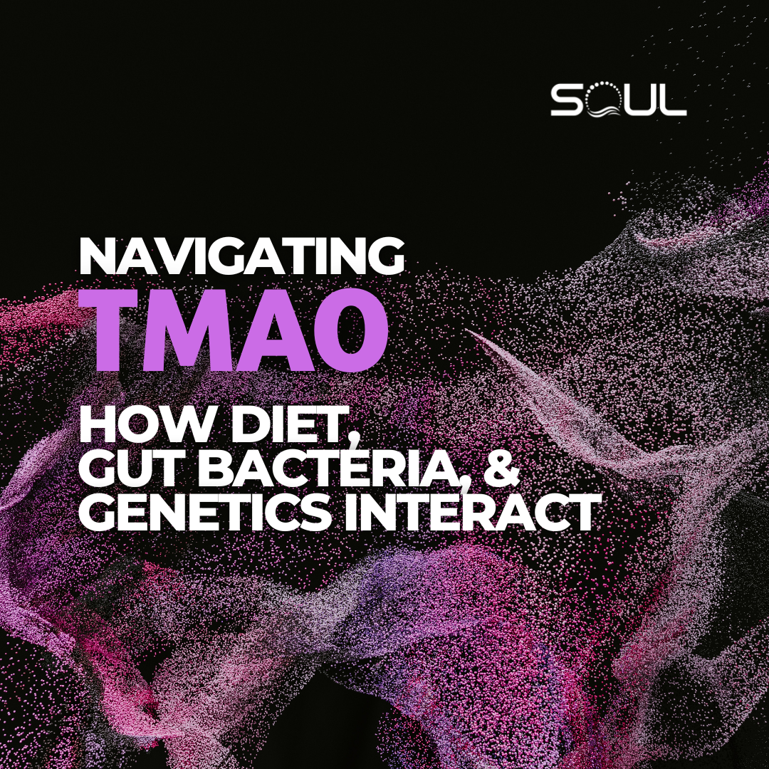 Navigating TMAO: How Diet, Gut Bacteria, and Genetics Interact