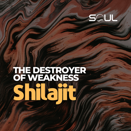 Shilajit The Destroyer of Weakness
