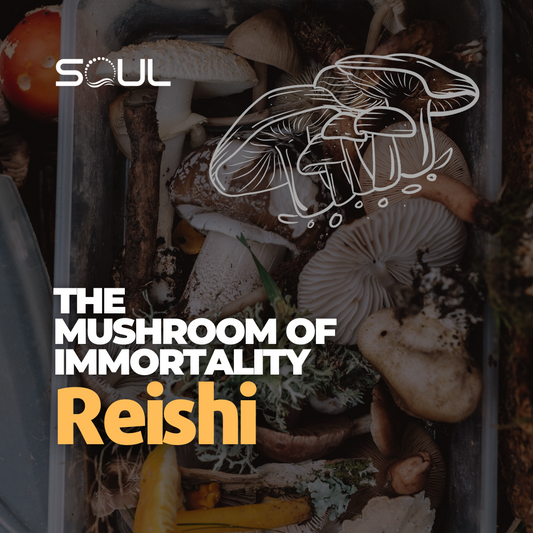 Reishi Mushroom: Ancient Remedy or Modern Marvel? A Deep Dive into the Science and Secrets Behind Ganoderma lucidum