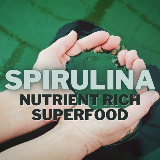 Spirulina the small green superfood