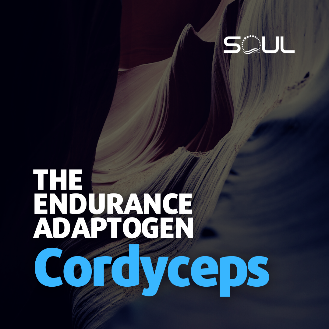Cordyceps The Endurance Mushroom