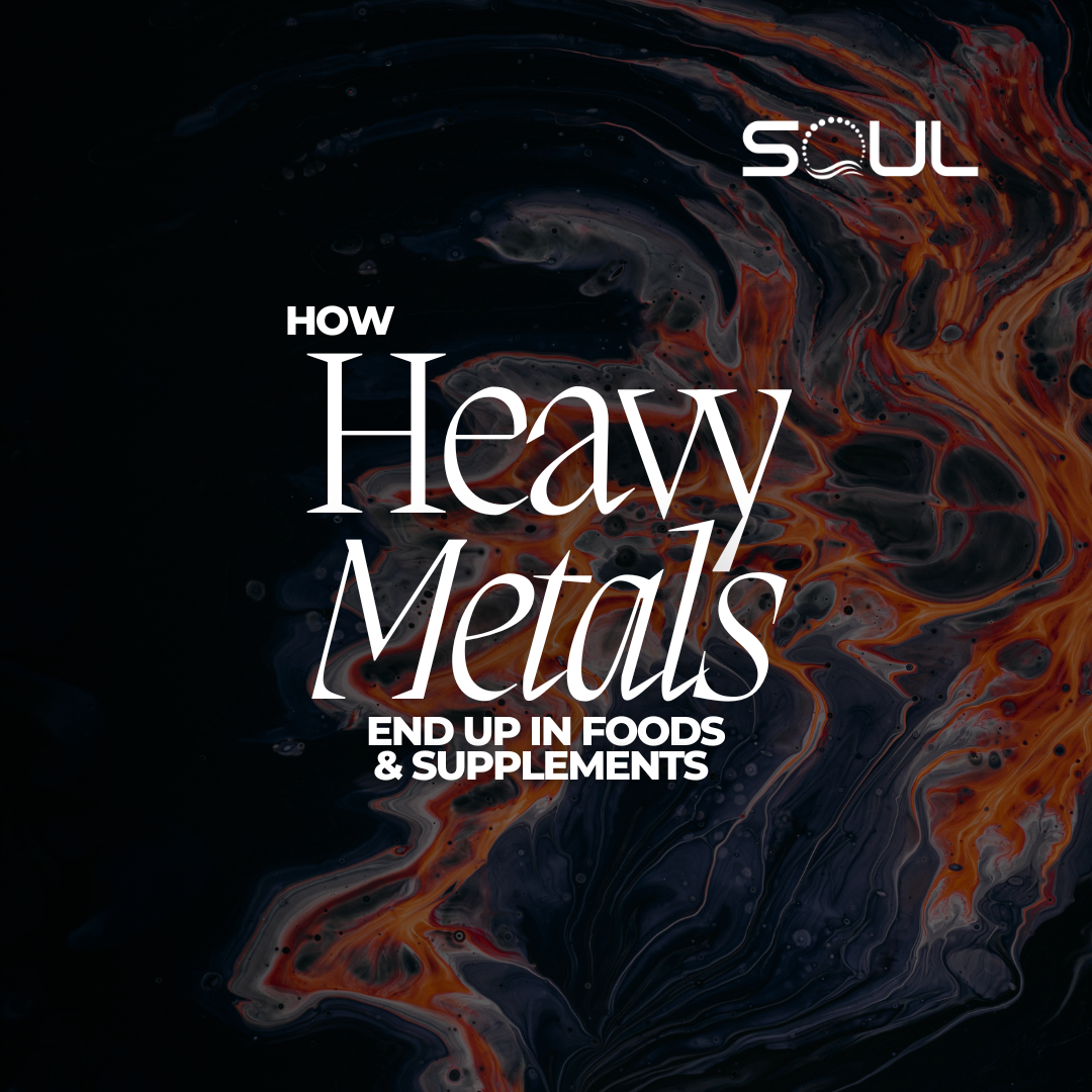 How do heavy metals end up in supplements?