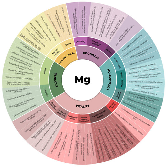 Unlocking the Secret to Vital Aging: The Magnesium Revolution