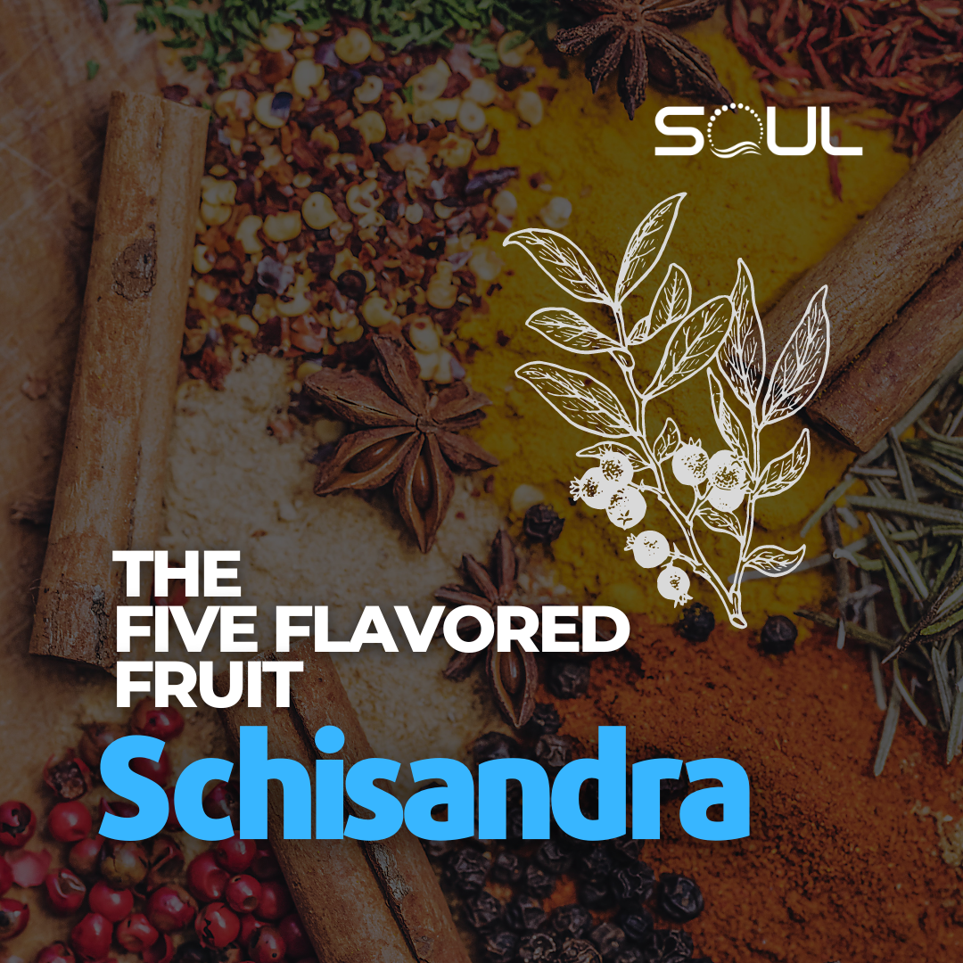 Schisandra The Five Flavored Fruit