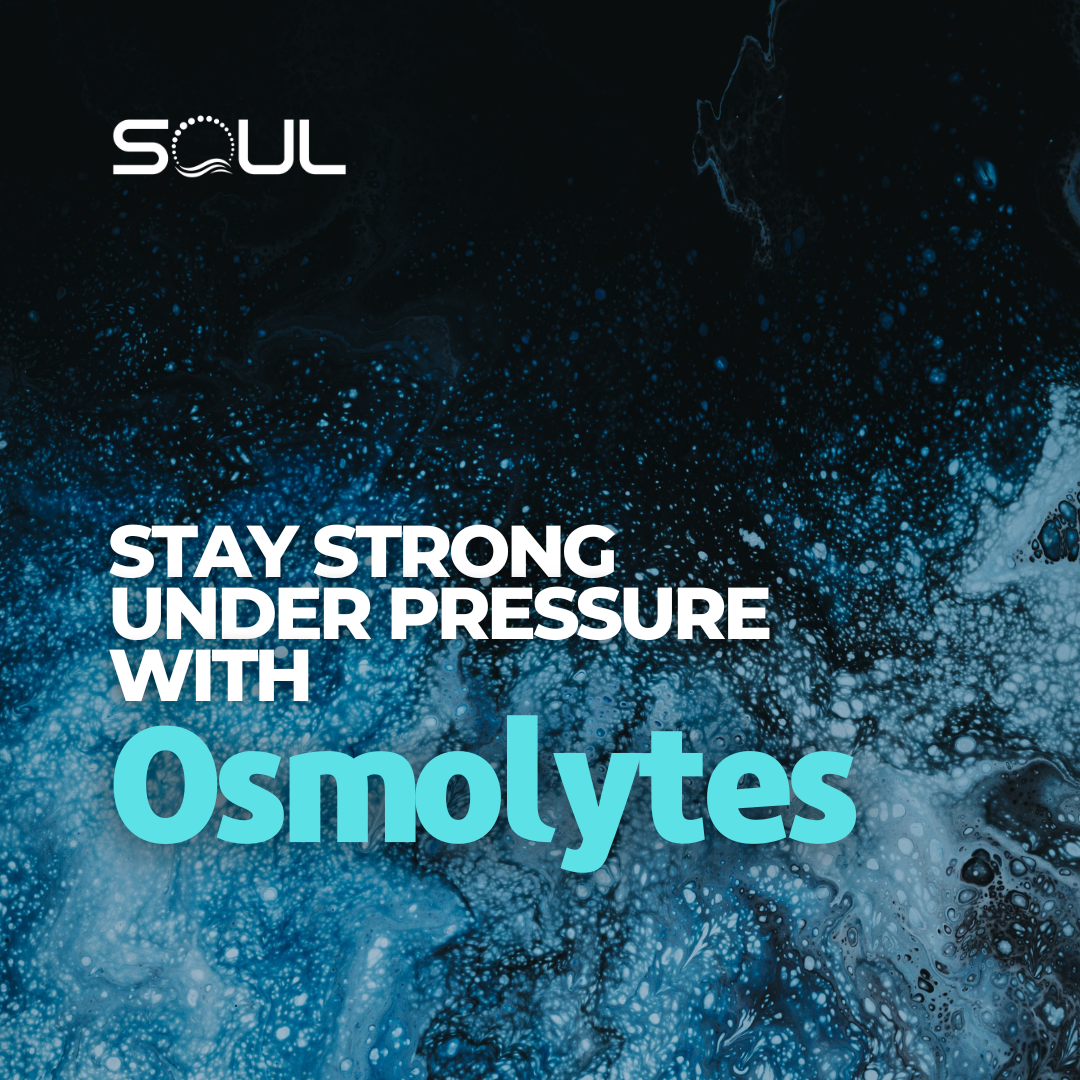 Strong Under Pressure - Osmolytes