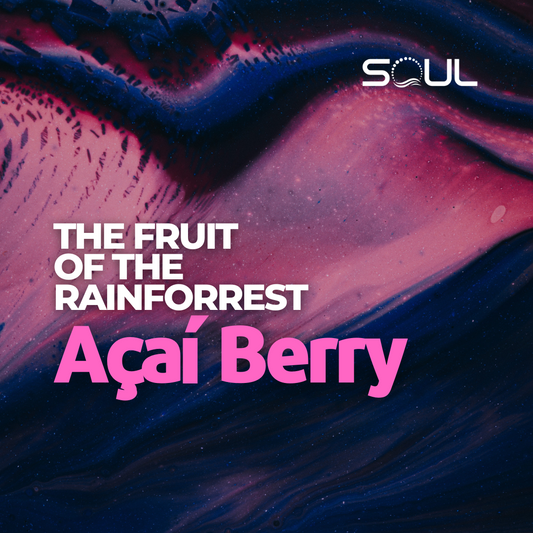 The Berry of The Rainforest: Açaí