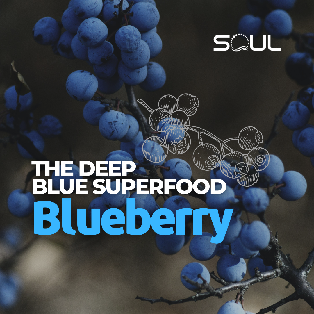 Blueberries: The Superfood with a host of Health Benefits