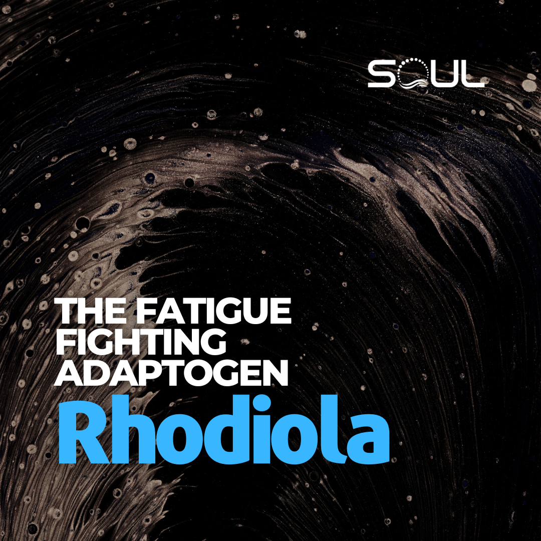 The Fatigue Fighting Adaptogen Rhodiola