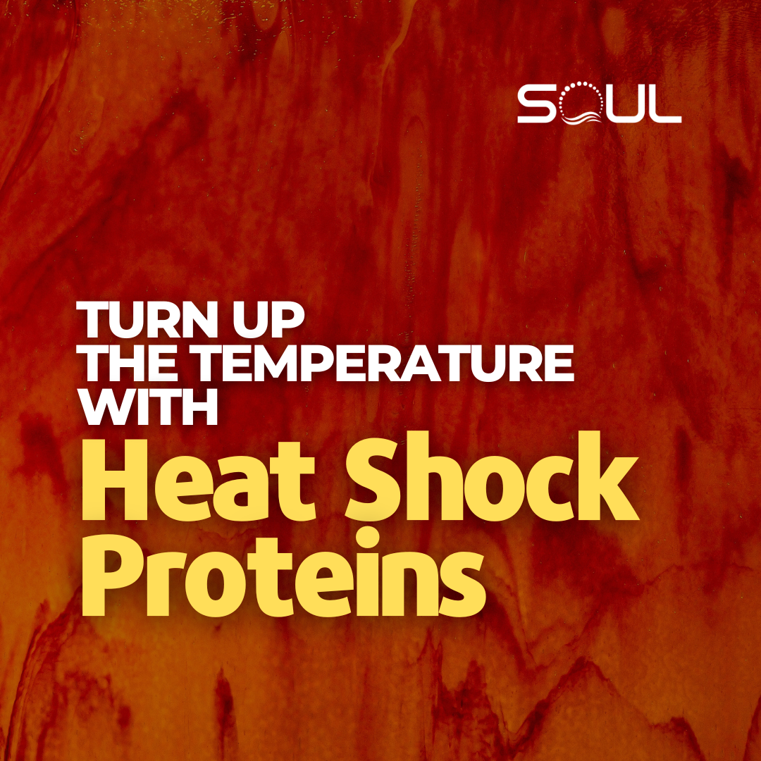 Heat Shock Proteins